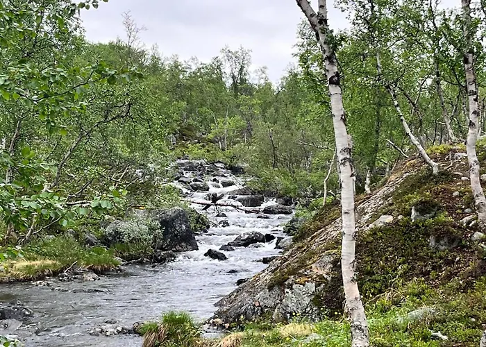 Naali G Апартаменты